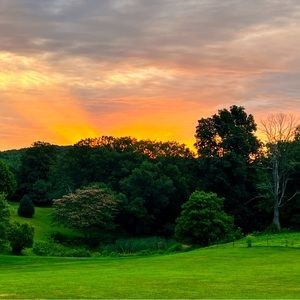 Meet your Posher, Meg